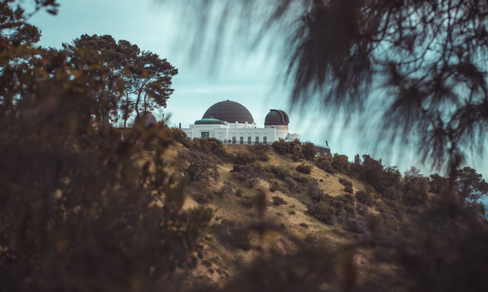 white dome building near trees