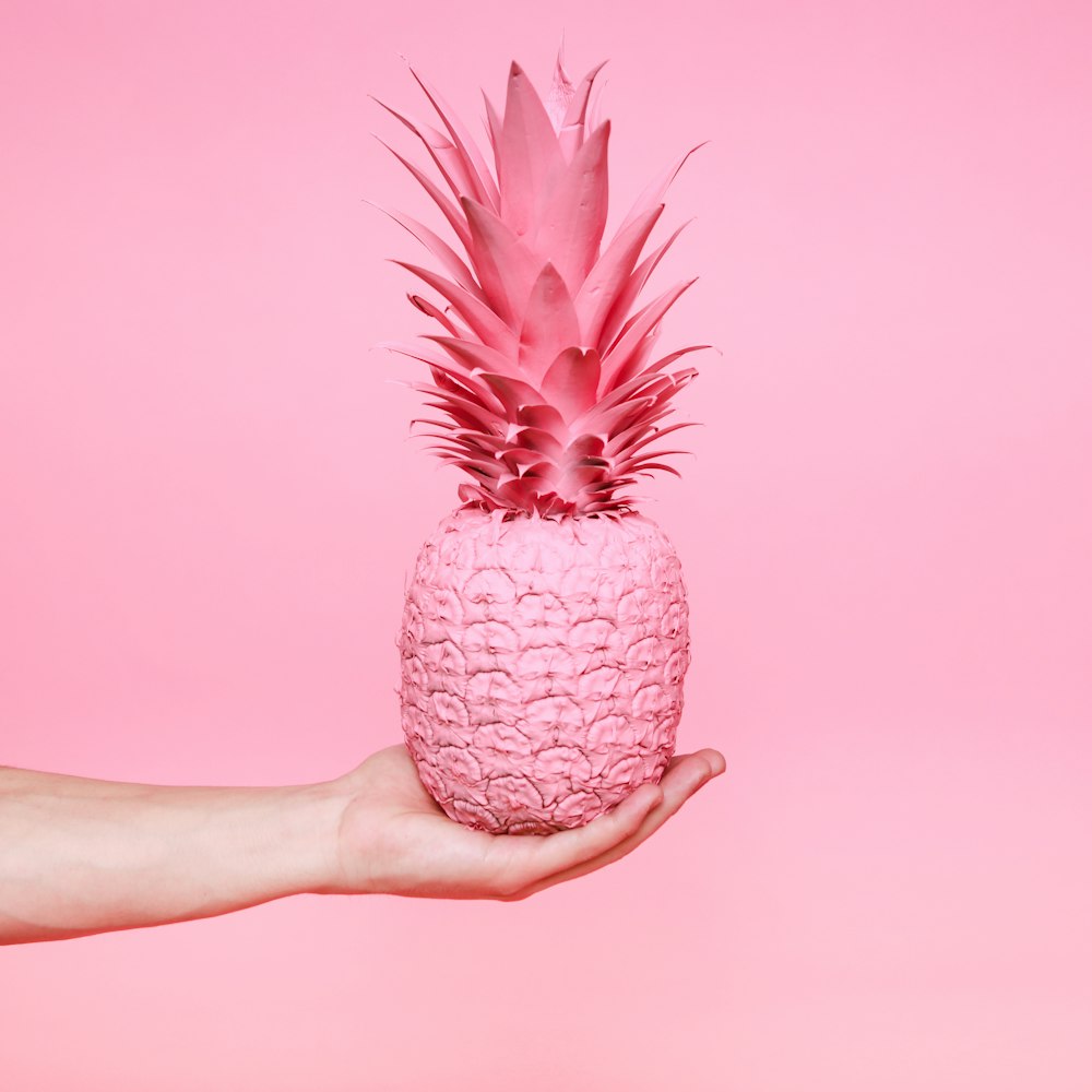 pink pineapple fruit