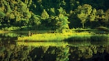 Lush greenery around Laxmipur Dam with visitors relaxing by the water’s edge.
