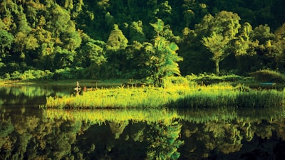 Lush greenery around Laxmipur Dam with visitors relaxing by the water’s edge.