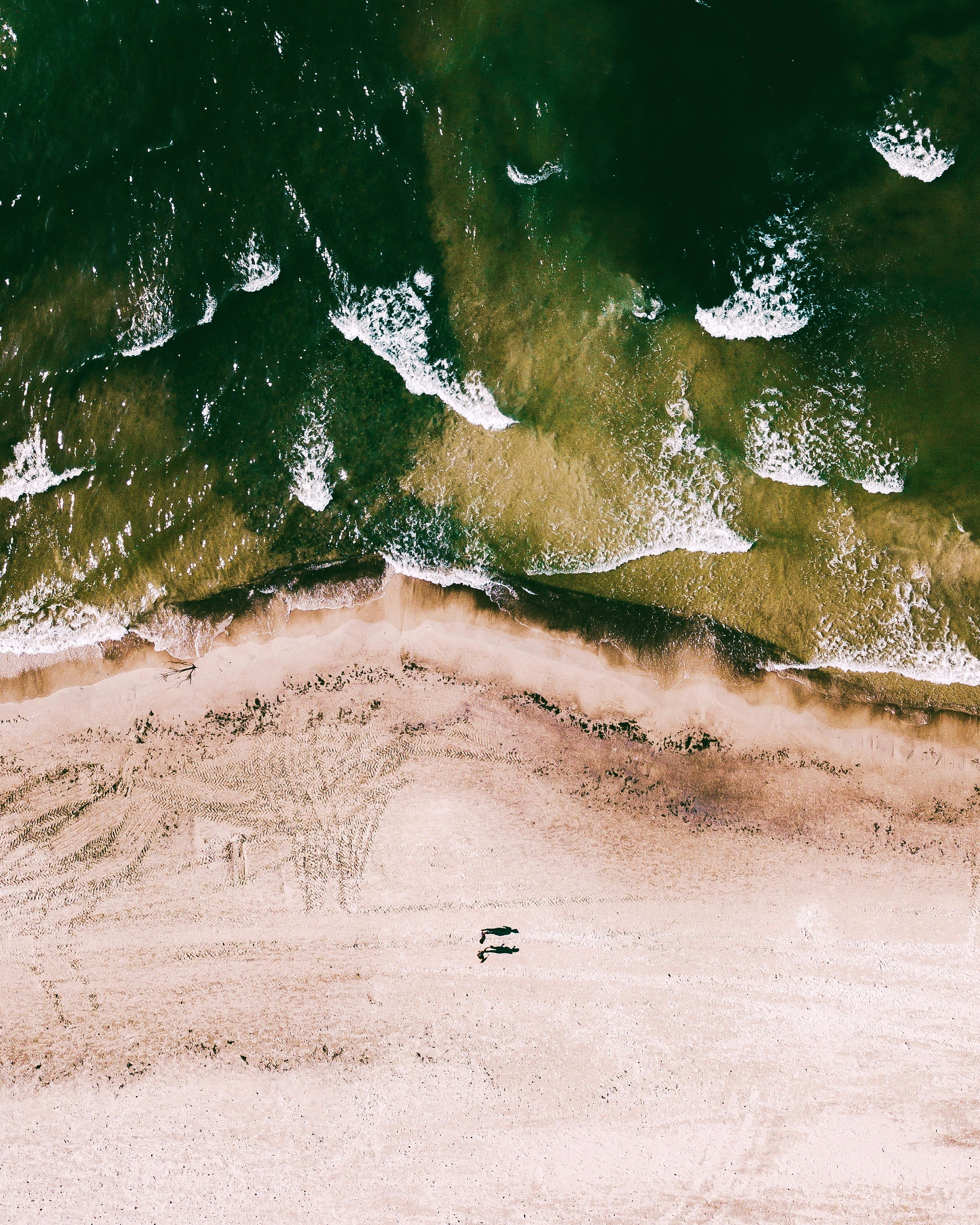 an aerial view of a beach and ocean