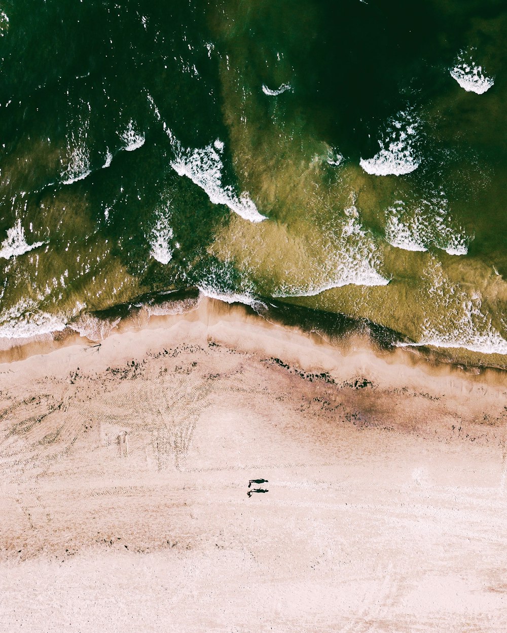 an aerial view of a beach and ocean