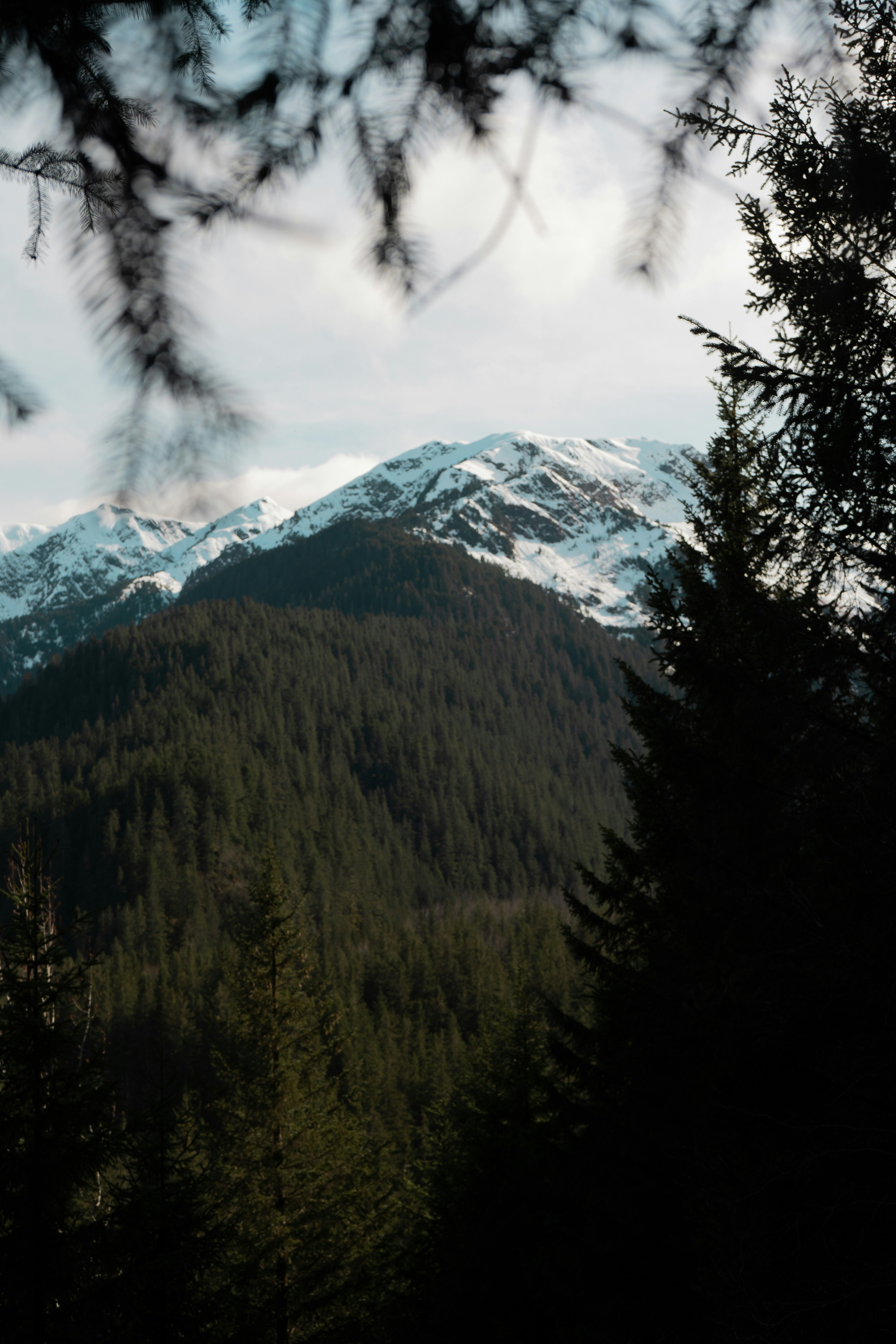 Photo by jaron_mobley