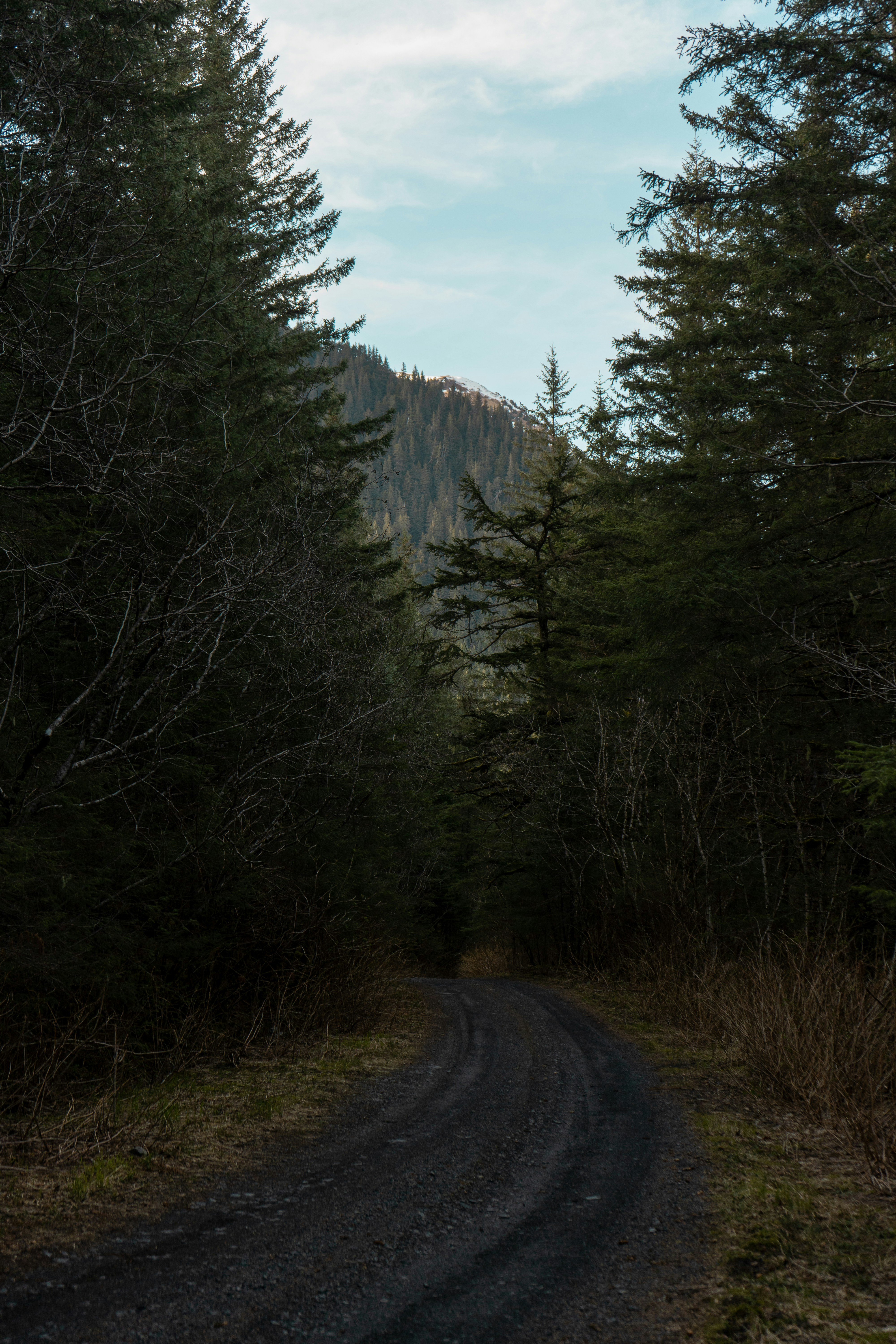 Photo by jaronmobley