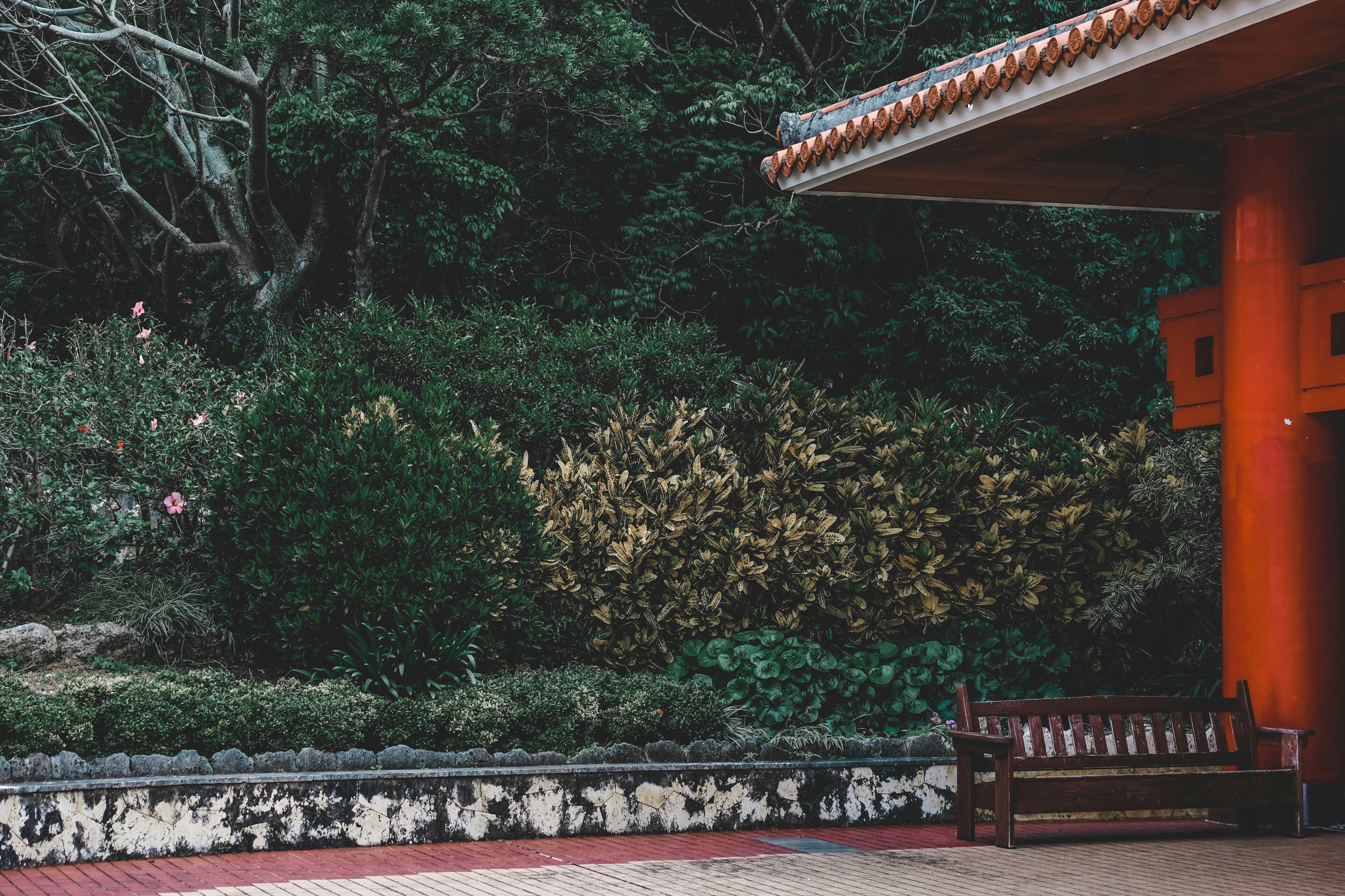 Photo by skaterlunatic