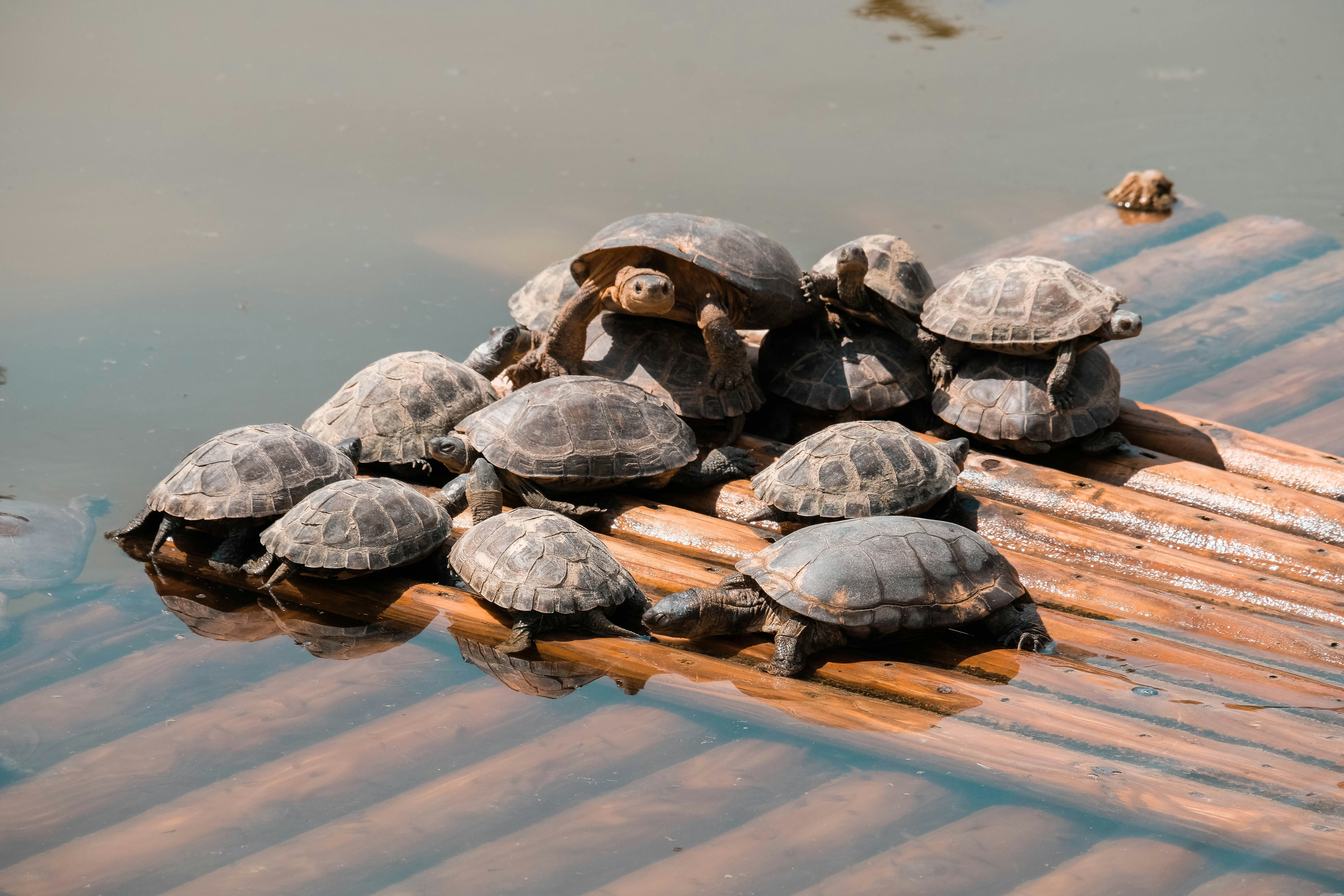 Photo by skaterlunatic