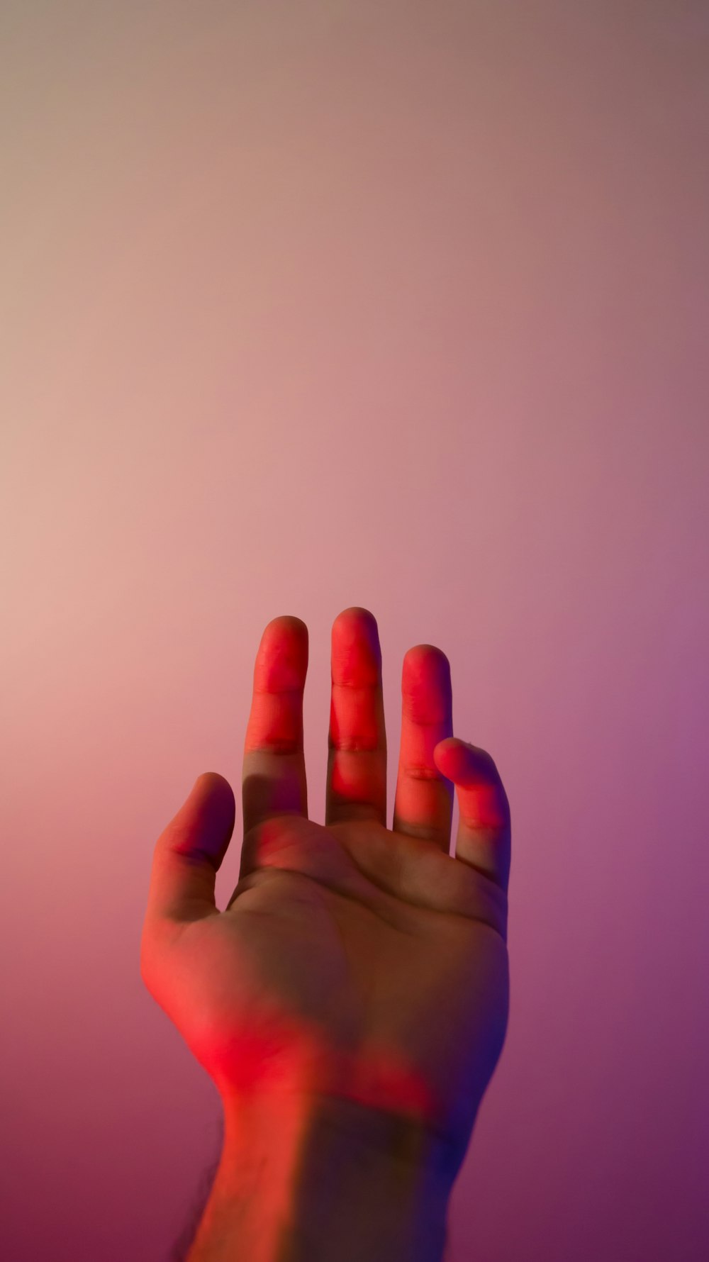 20+ Hand Pictures & Images [HD] | Download Free Photos on Unsplash