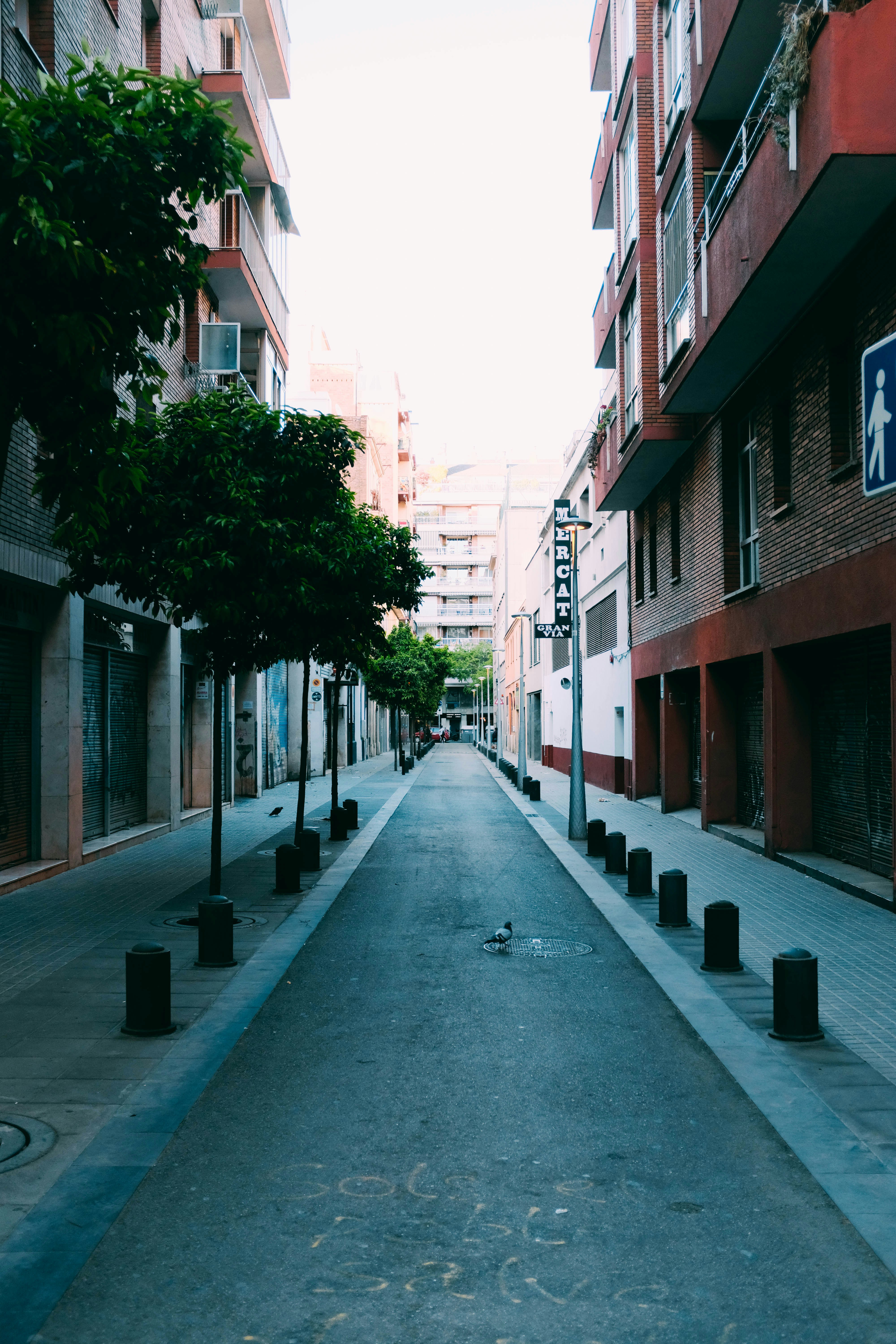 Photo by adrienolichon