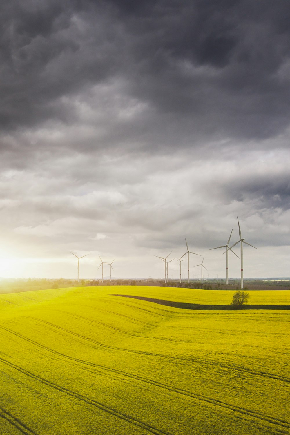 wind mills under nimbus clouds