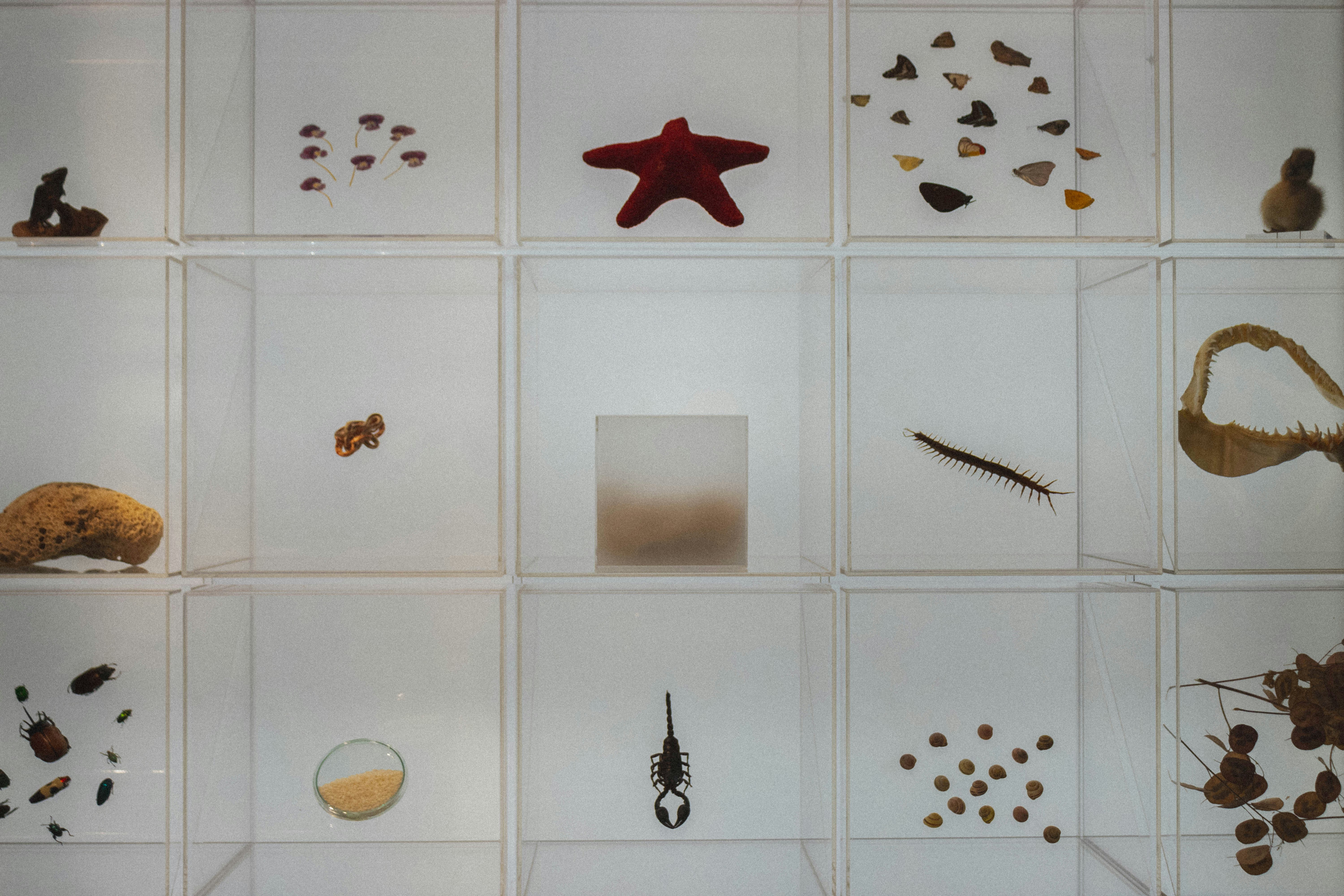  What to Do in Milan 2022 My Urban Guide