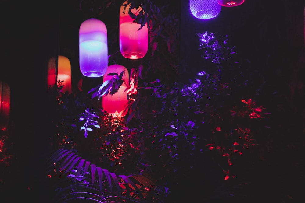 Linternas de colores variados encendidas durante la noche