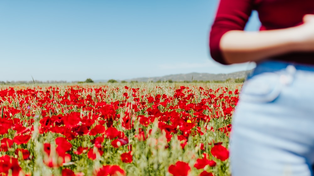 woman standing beside red poppies