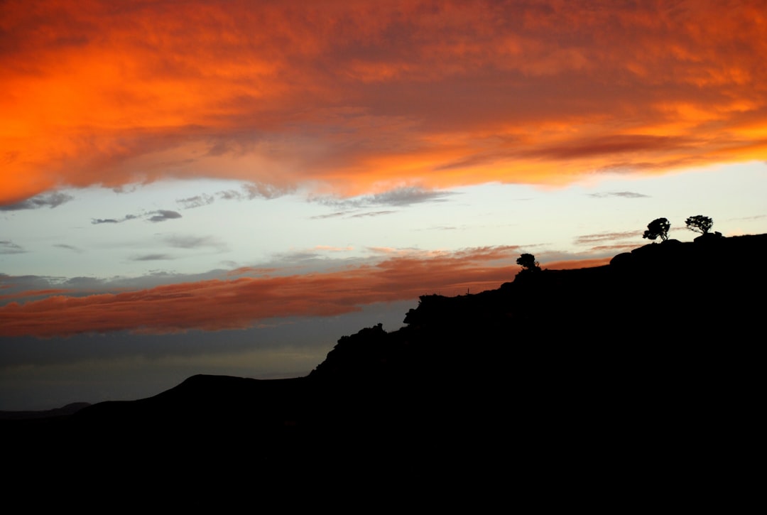 silhouette of mountain and tree during golden hour