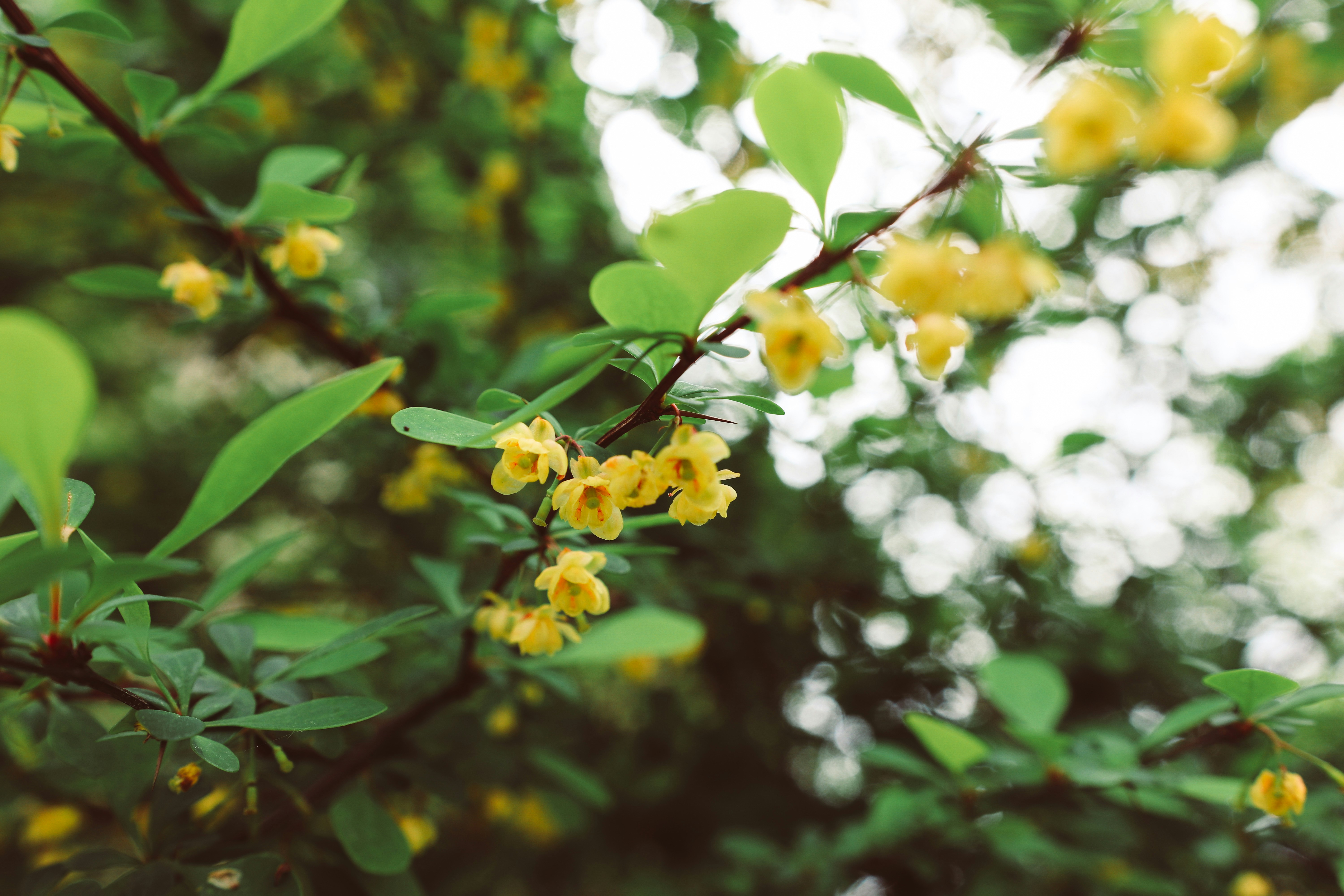 Photo by create4eyes