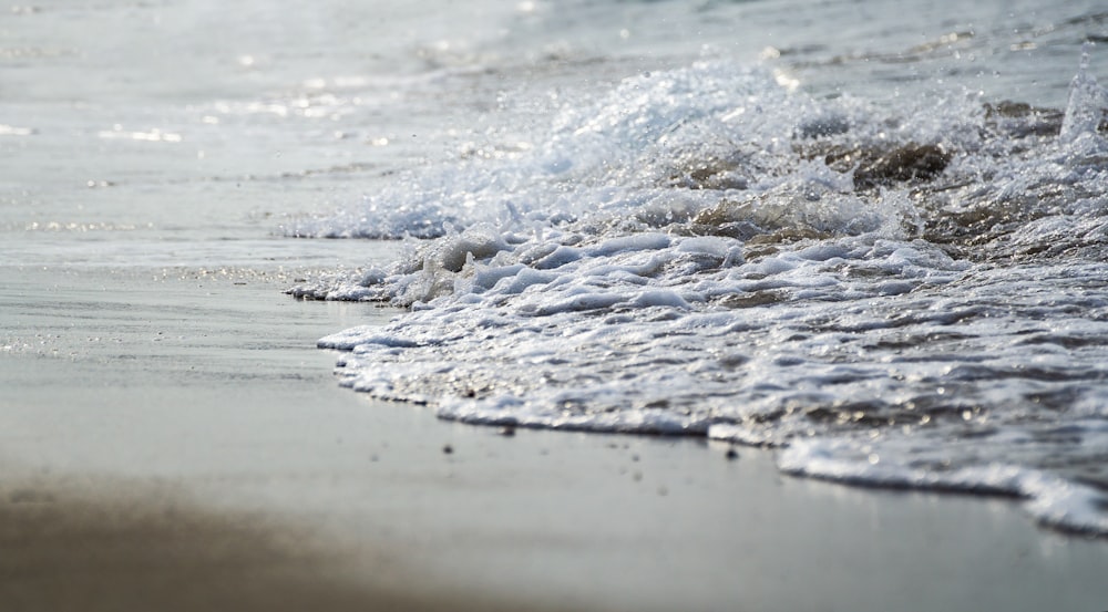 beach during daytime