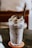 A frosty beverage with a generous topping of whipped cream and chocolate sprinkles is served in a tall glass with a black straw. The glass has 'The Coffee House' printed on it and rests on a round coaster atop a dark wooden table. The background features a blurred indoor setting, creating a cozy ambiance.