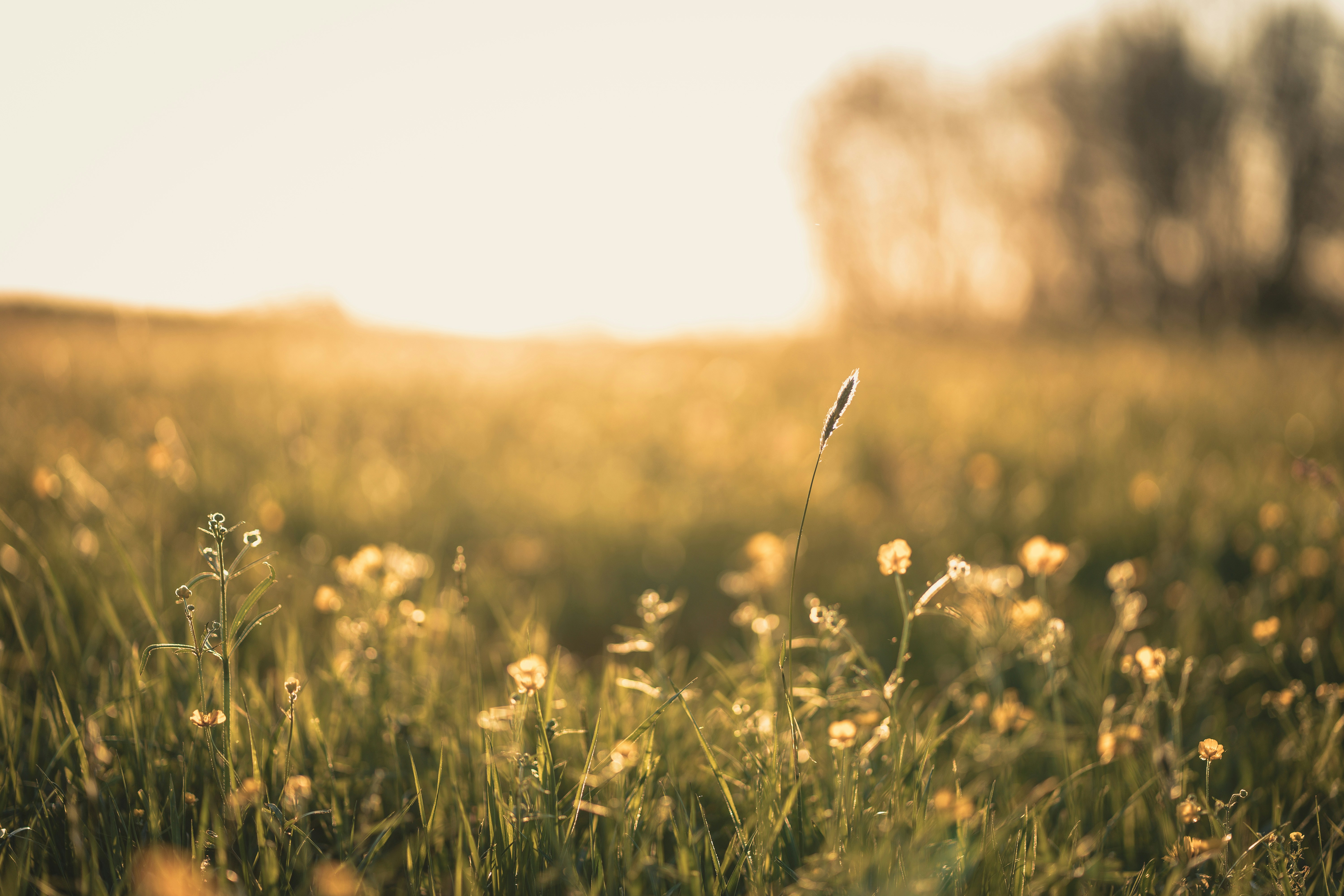 Photo by dominik_kempf