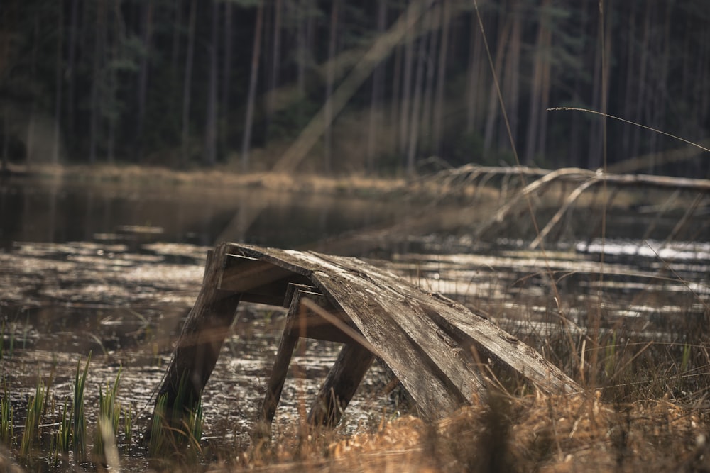 brown wooden dock