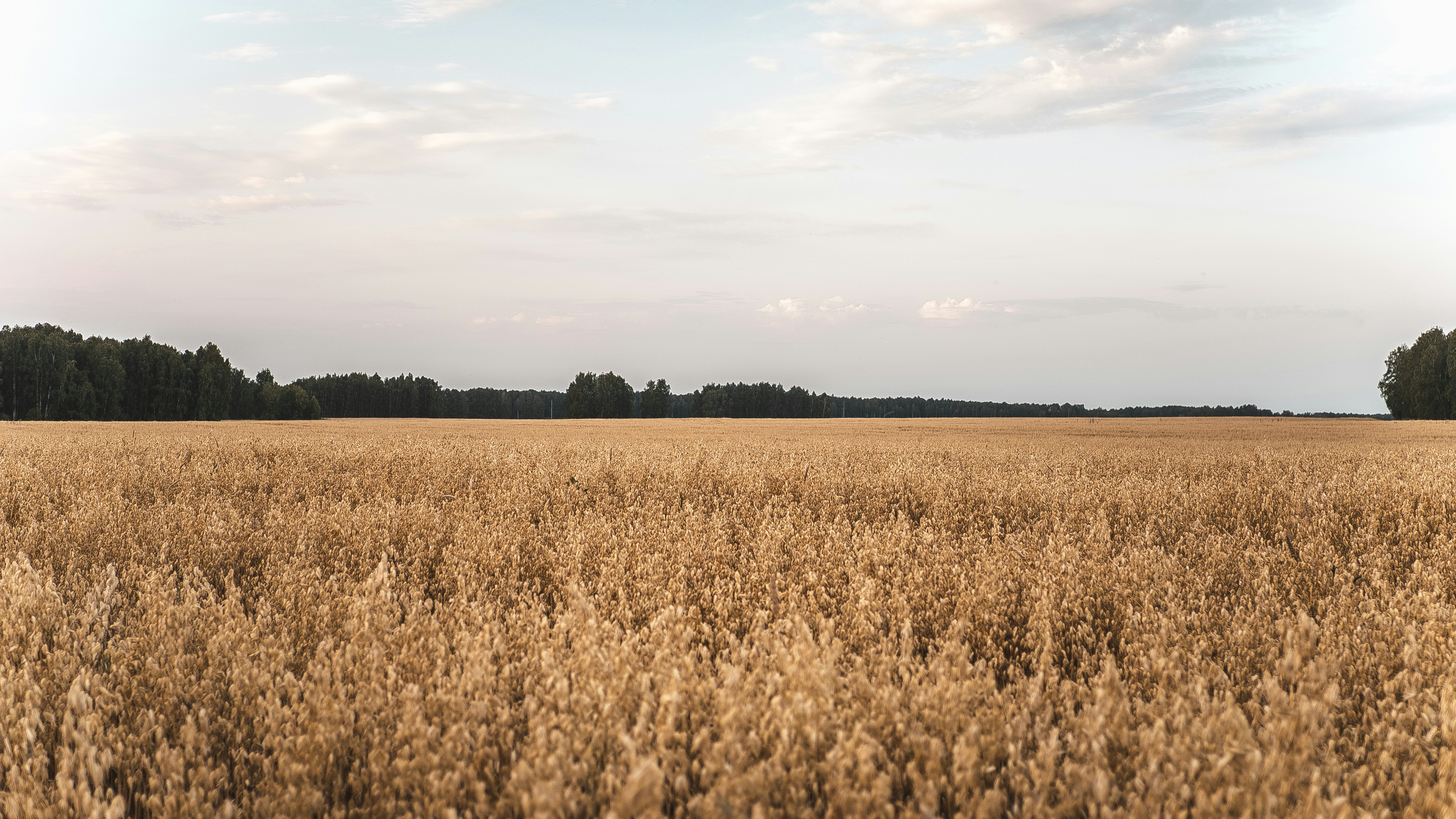 Photo by nikolayozhgibesov