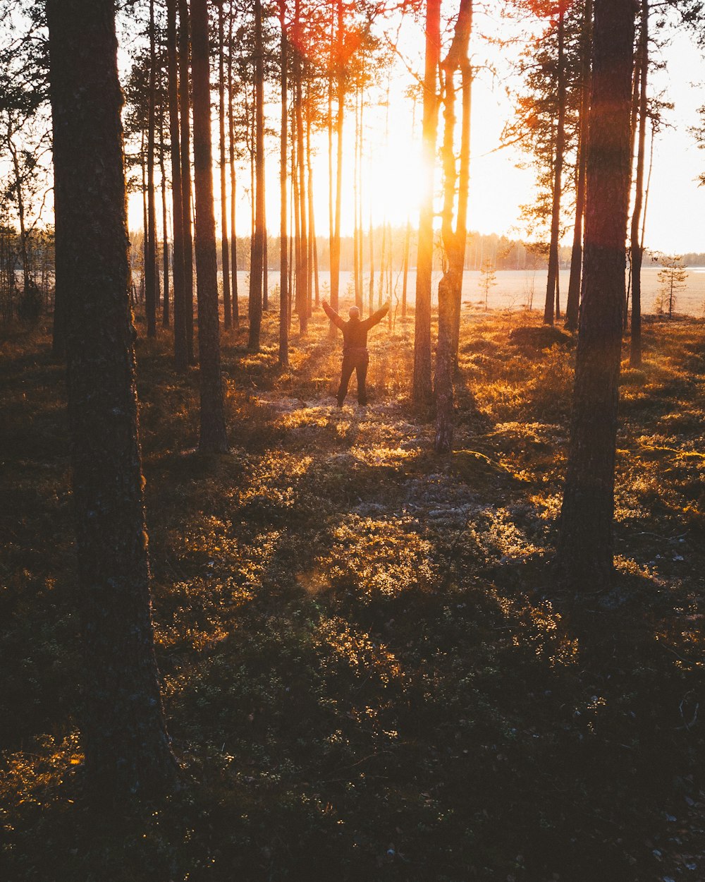 man standing on forest