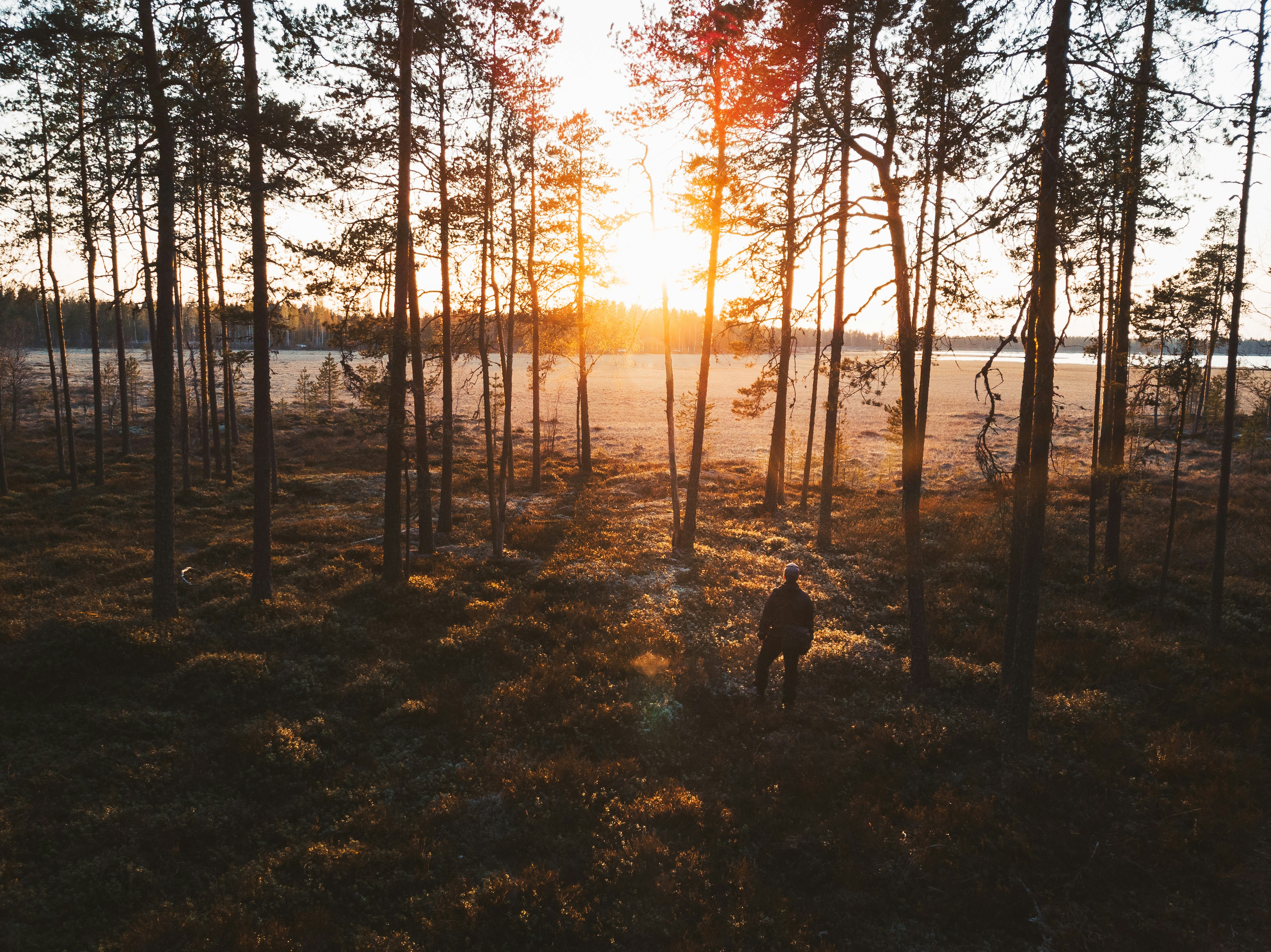 Portion header image