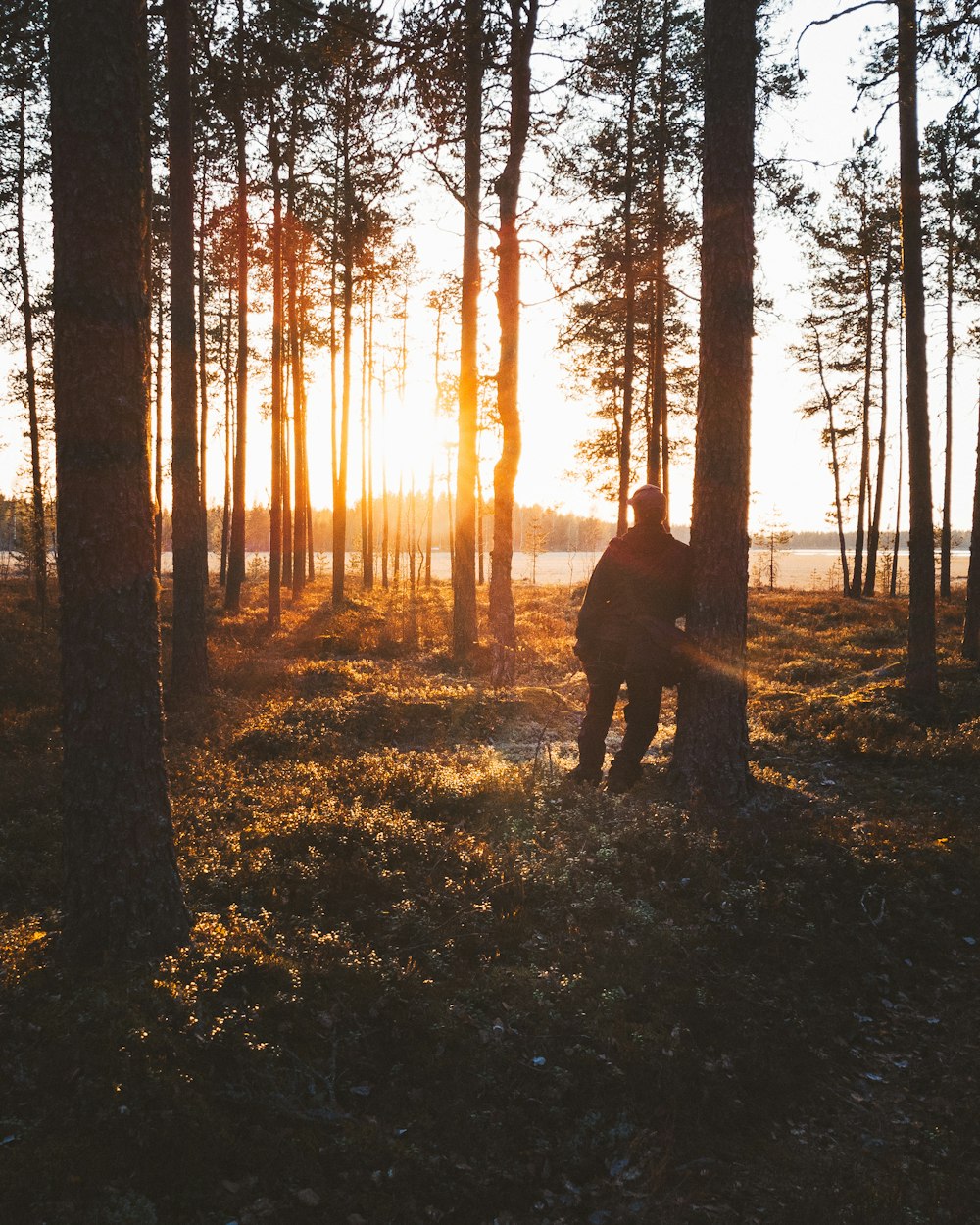 person leaning a tree during golden hour