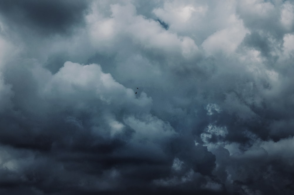 Nimbus clouds photo – Free Grey Image on Unsplash