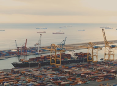 A bustling port with numerous stacked shipping containers and gigantic cranes. Several cargo ships are docked next to the port, while more vessels can be seen in the distant calm sea. The overall atmosphere suggests busy trade activity against a backdrop of a hazy sky.
