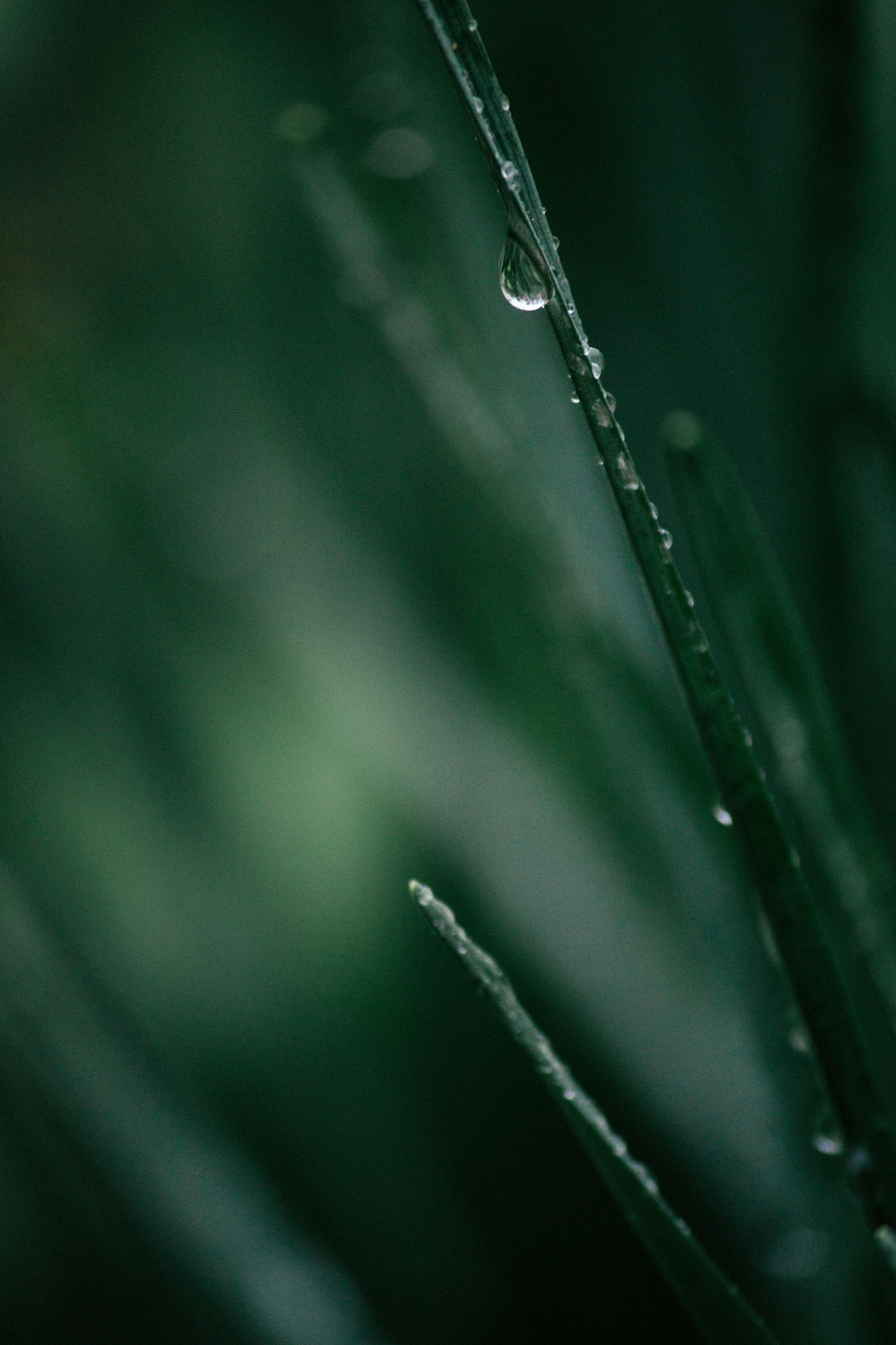 Photo by onmywayhome