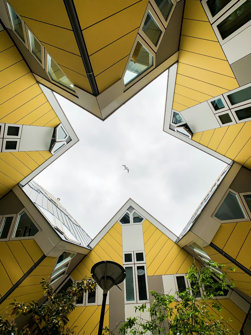 yellow and white houses during daytime low-angle photography