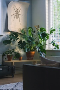 green leafed plants on beige table near windwo