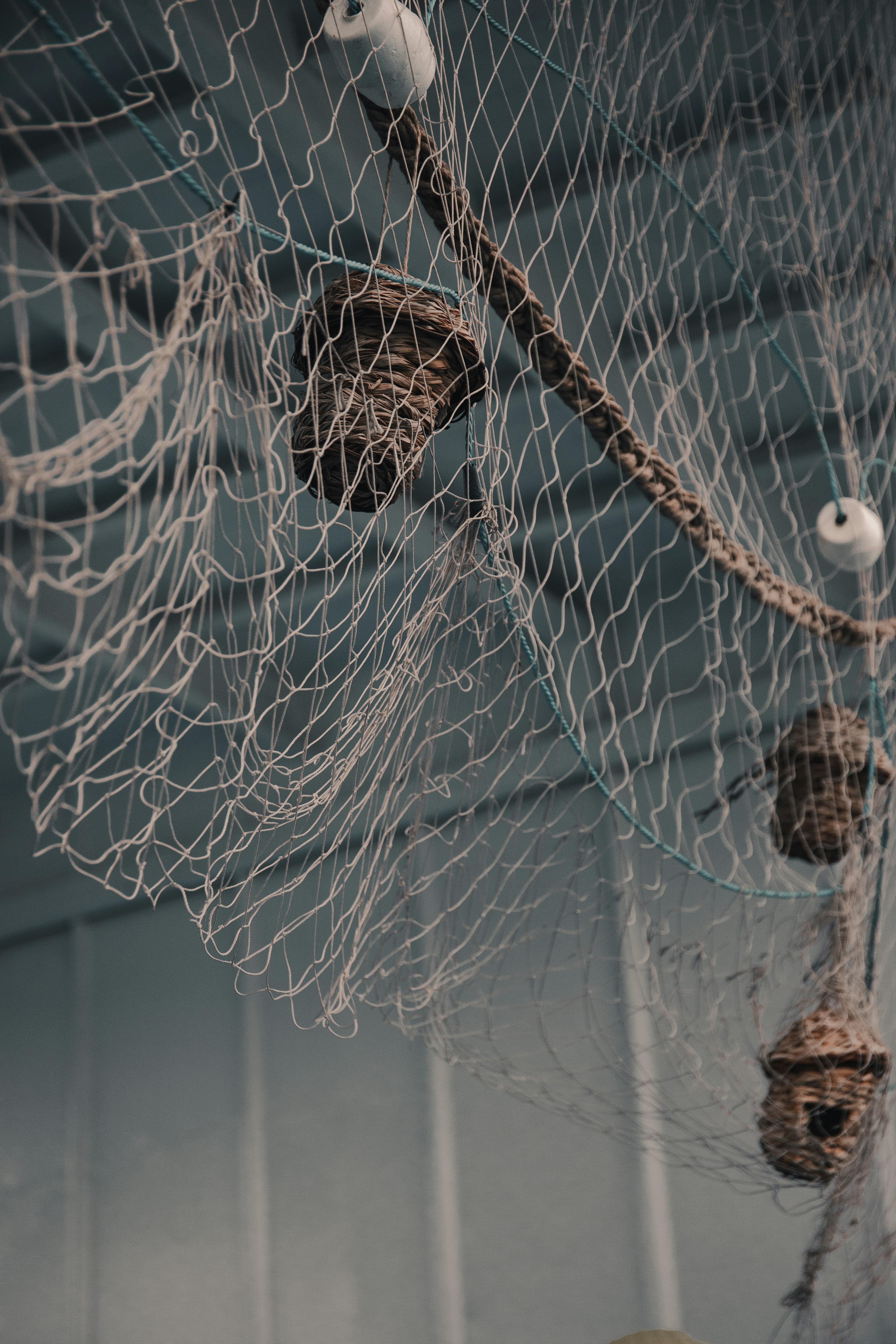 White fish net - Free Photo on Unsplash