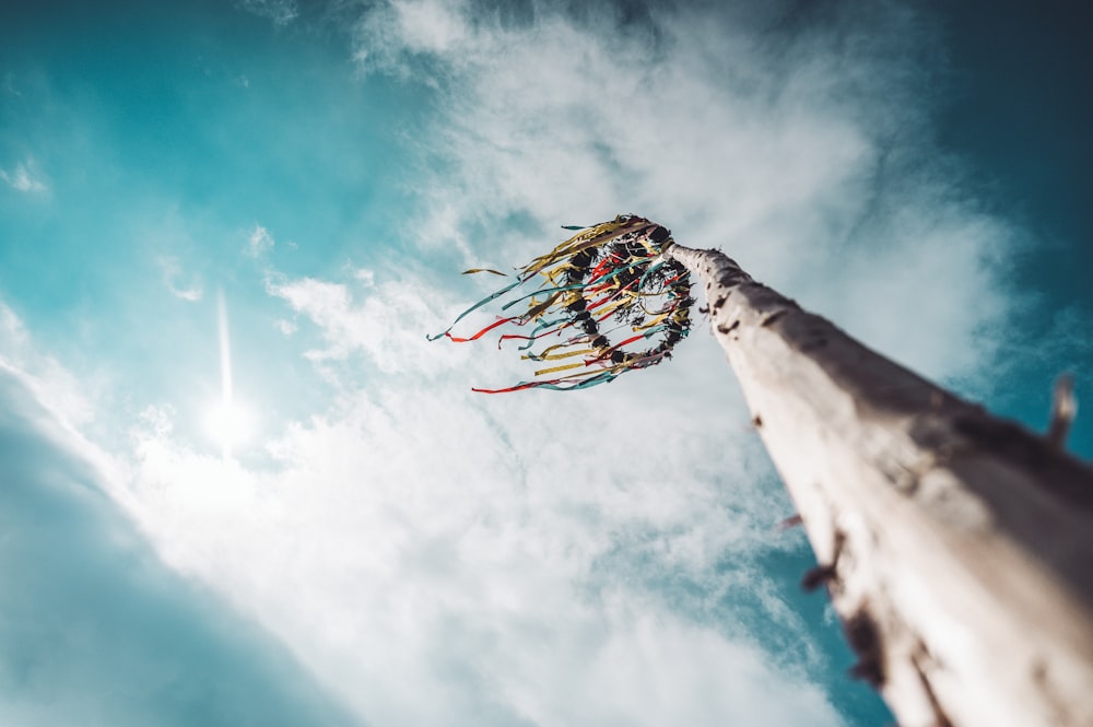 low-angle photography of round ring decor