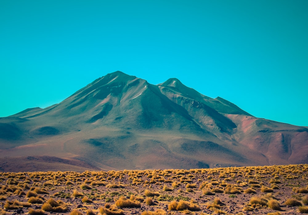 mountains in desert