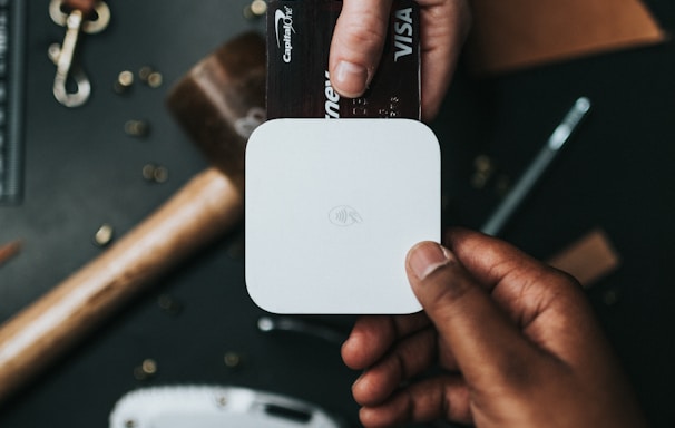 person holding Visa card and white device