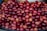 A pile of vibrant, glossy olives of varying shades of red and pink is displayed. The fruits are closely packed together, showcasing a rich, shiny surface that highlights their freshness.