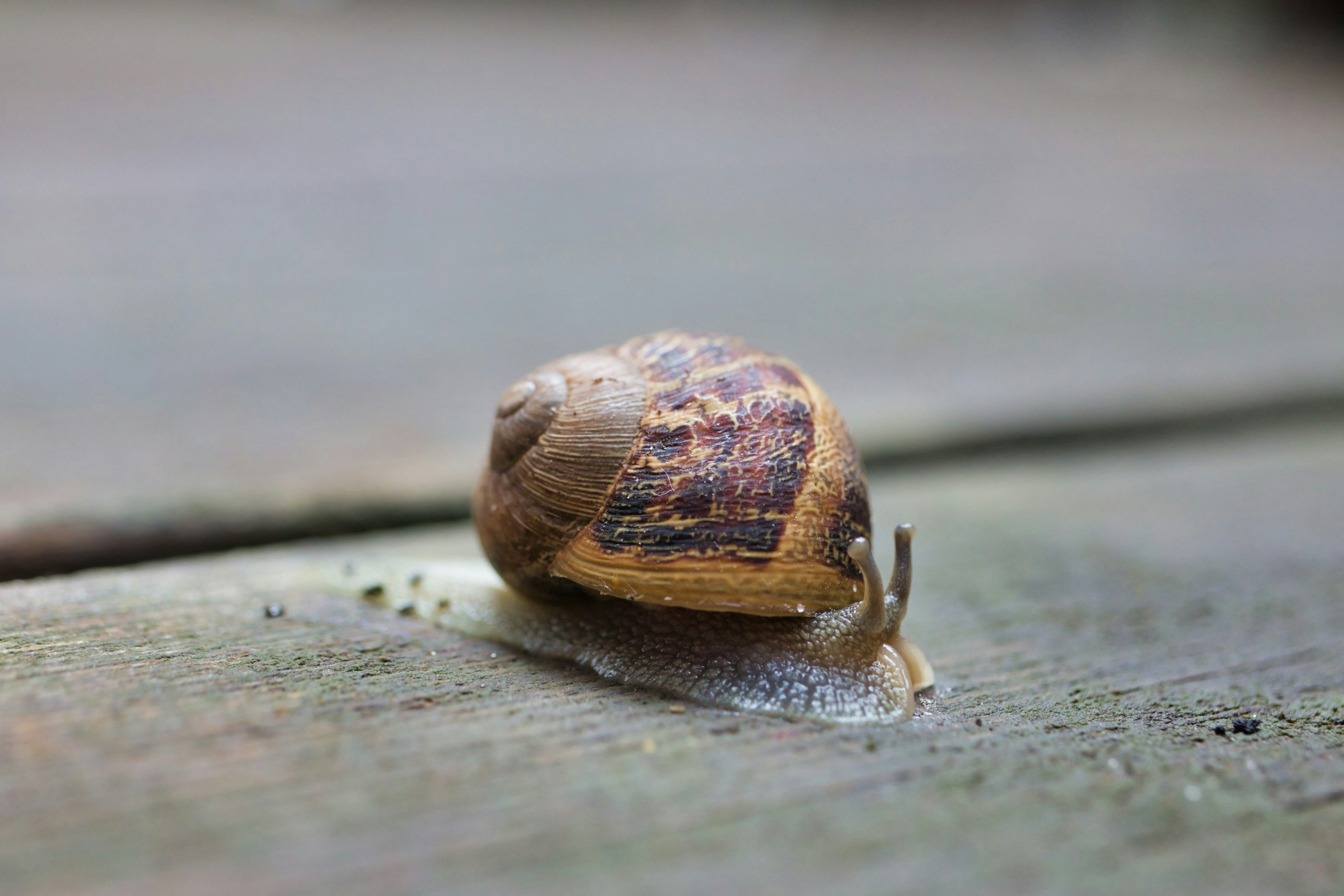 photo 1556746754 b19a2790db03?ixlib=rb 4.0