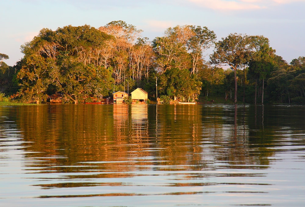 Cabana perto do lago