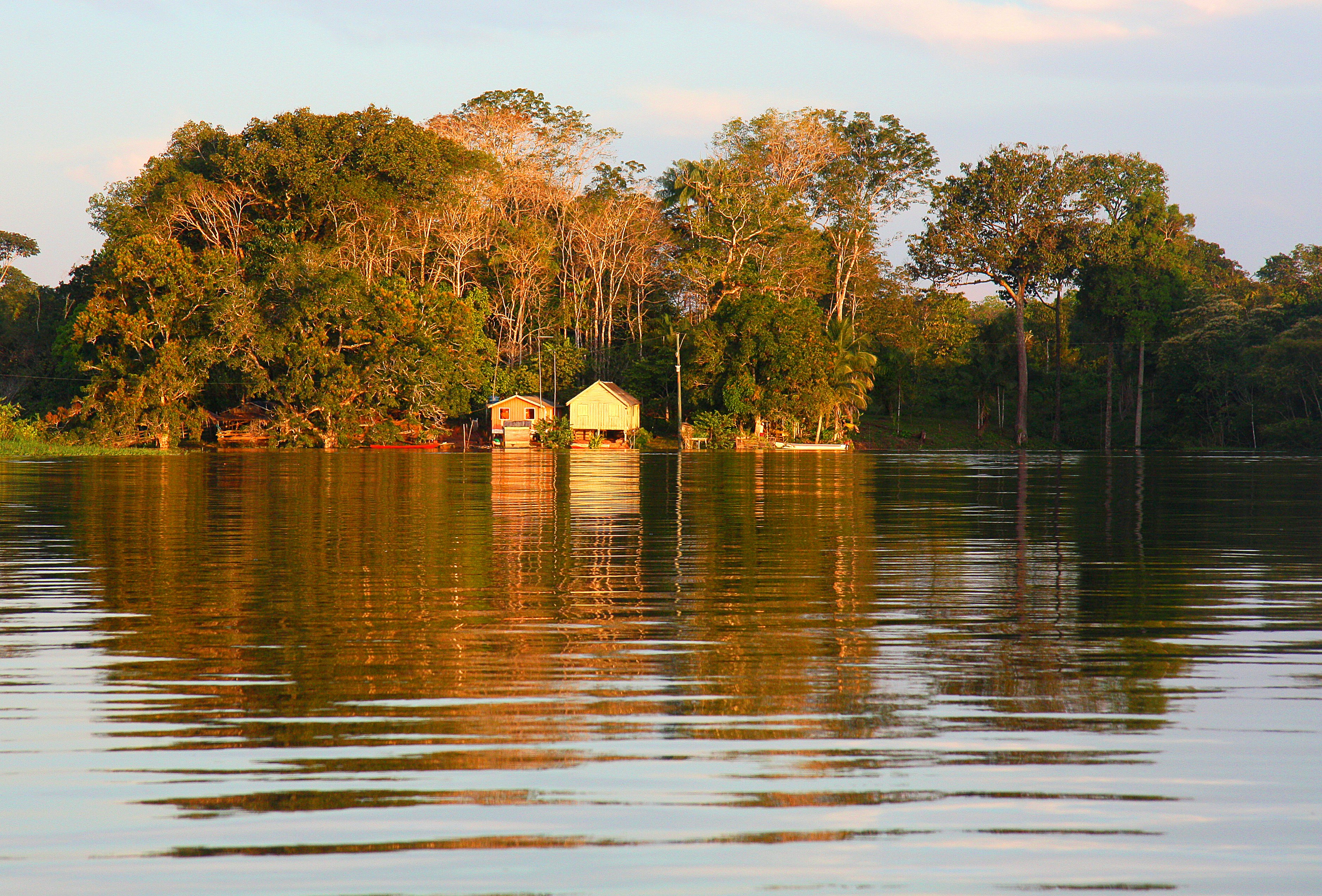 A very flooded Amazon River was calm and peaceful in the golden hour.
