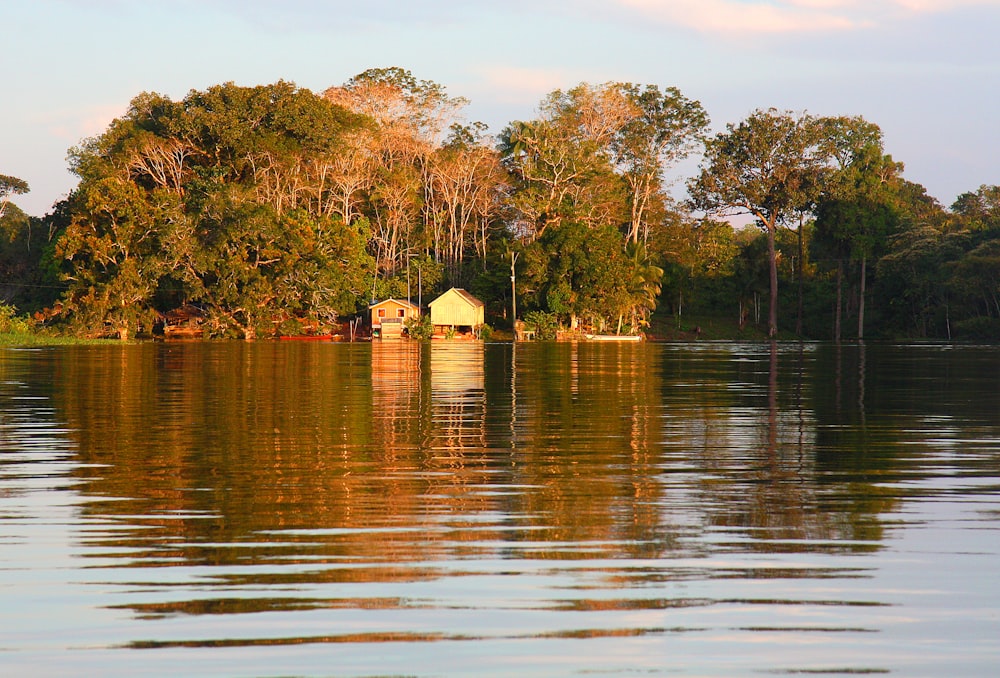 cabin near lake