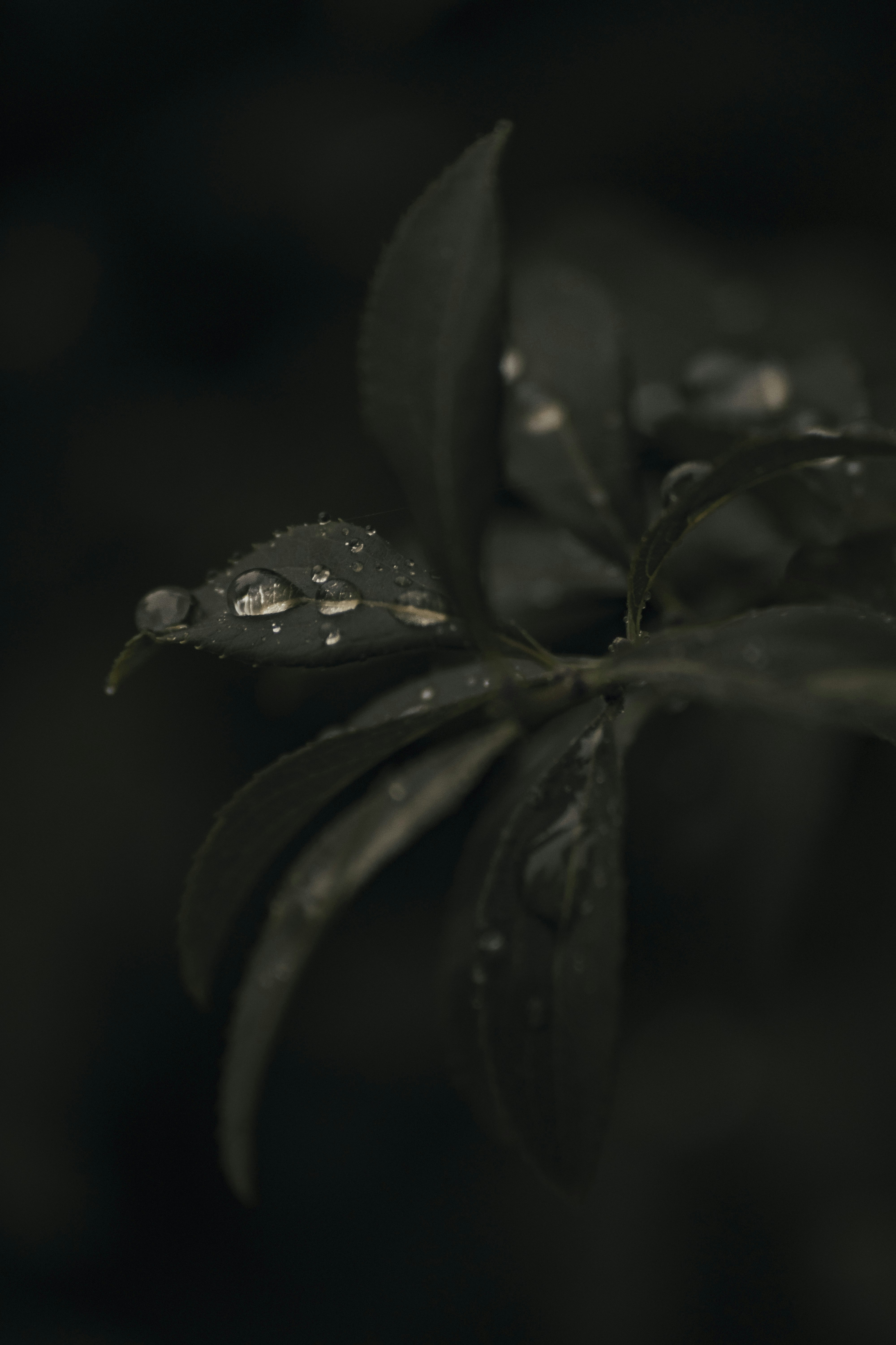 Photo by gasparzaldo