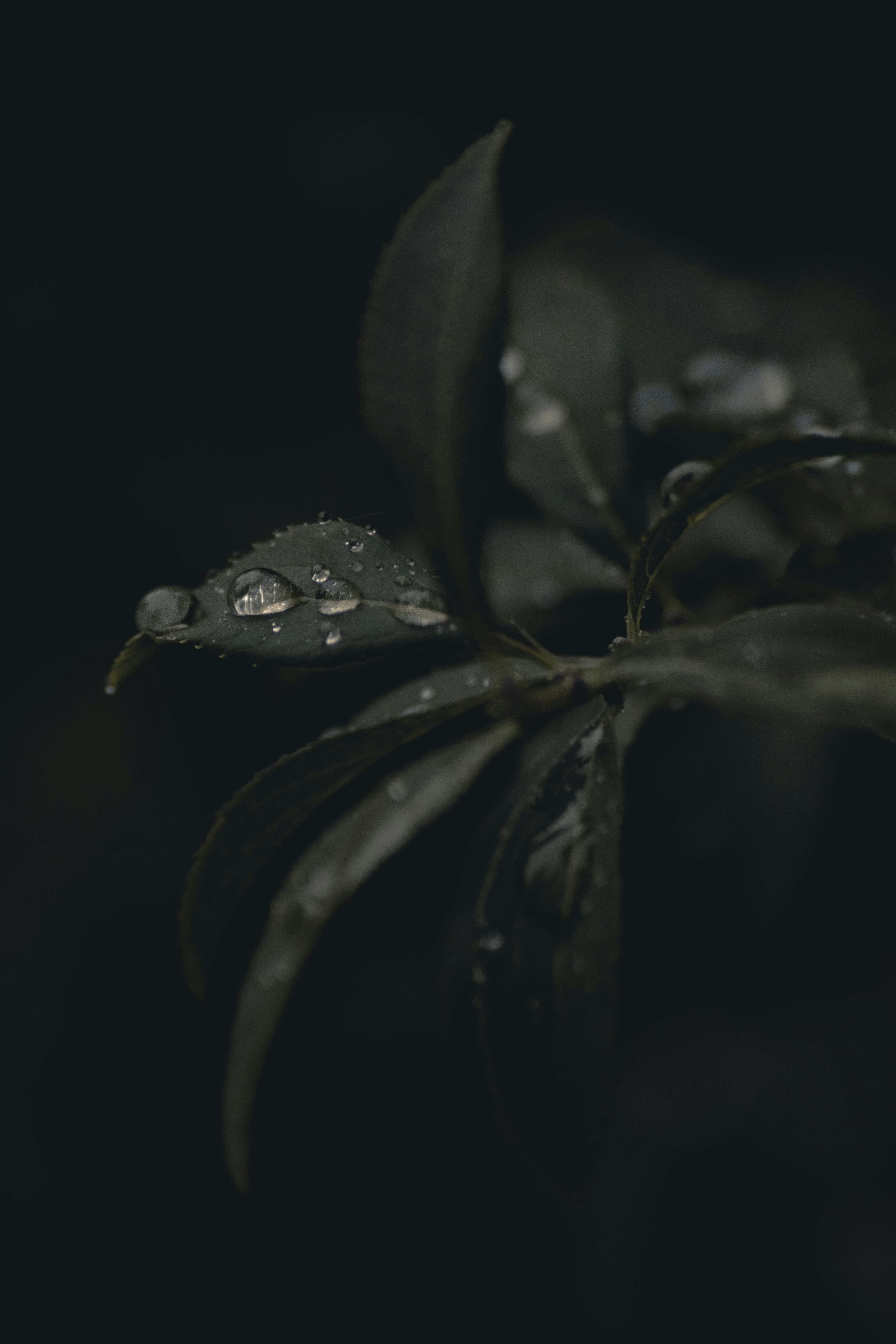 Photo by gasparzaldo