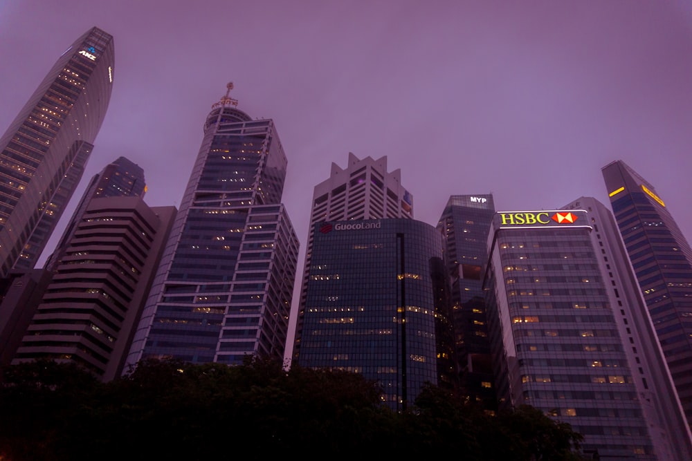 low-angle photo of buildings