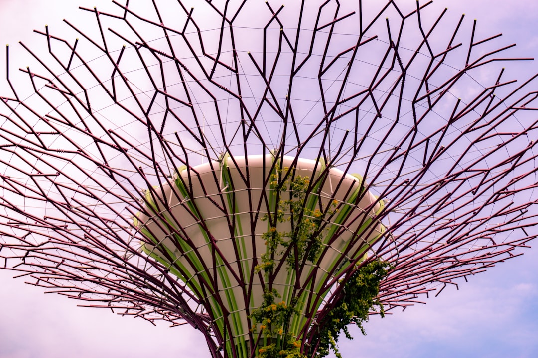 Large supertree canopy at gardens by the Bay, Singapore.