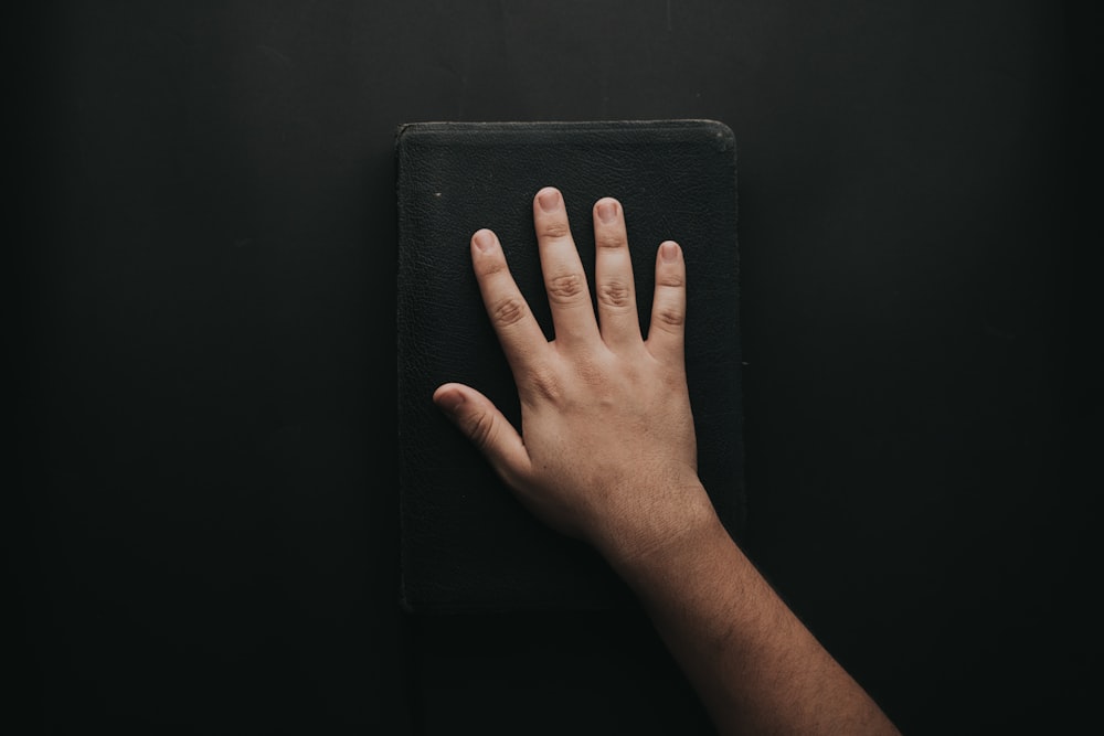 right human hand close-up photography