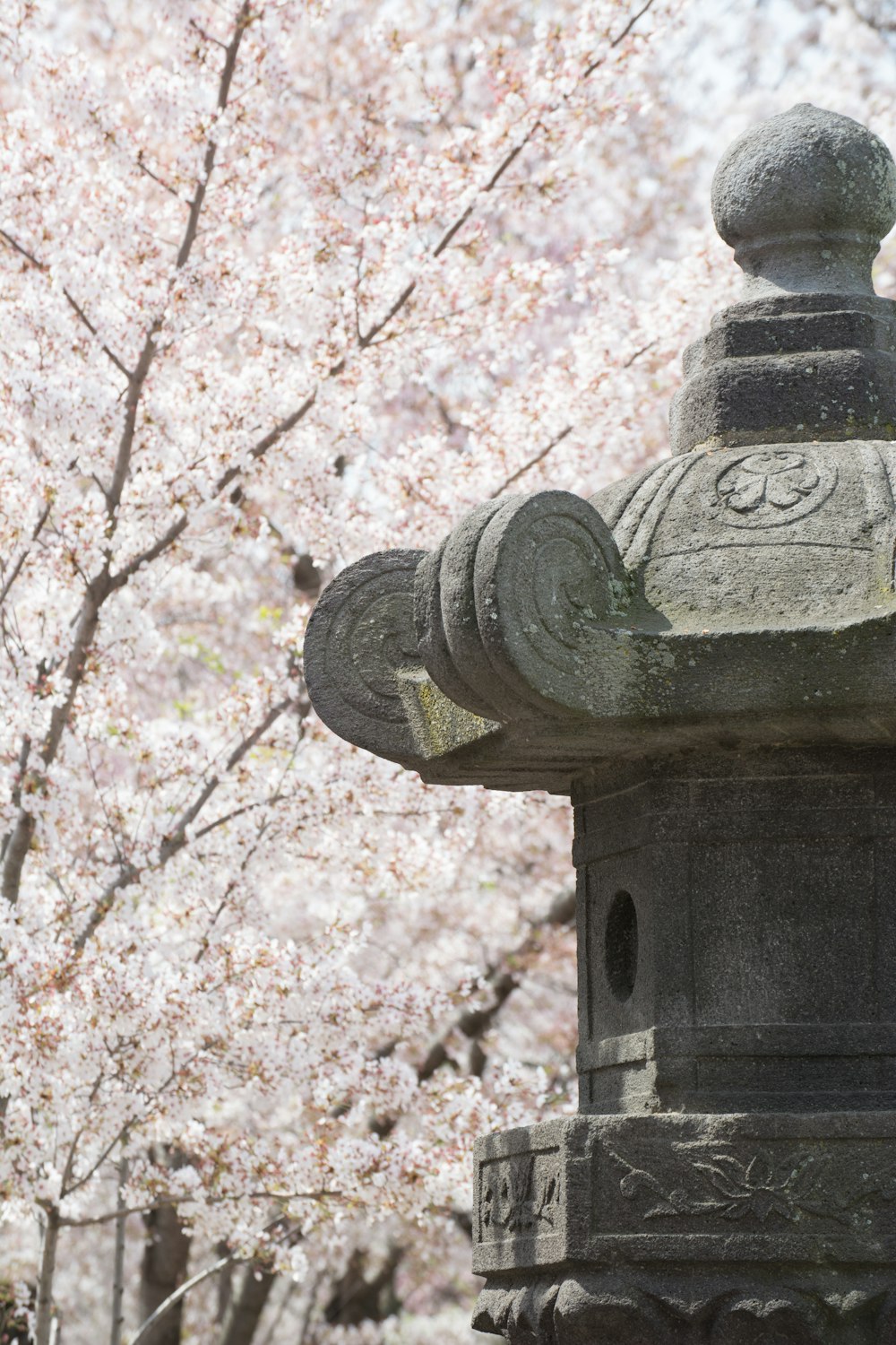 a stone lantern in front of a blooming tree