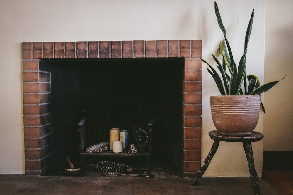 potted plant beside fireplace