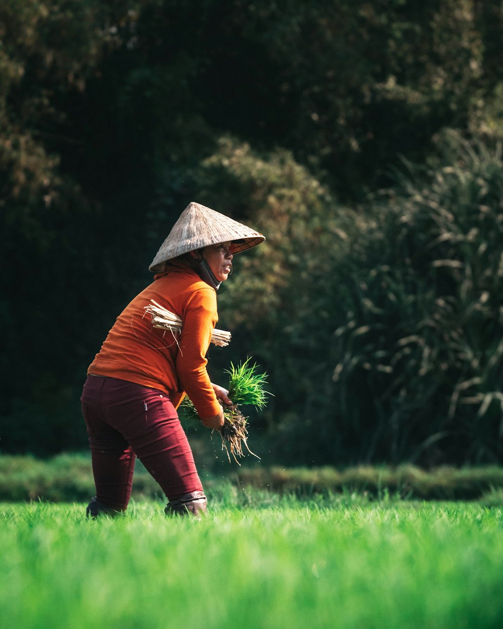 woman in orange sweater planting rice at the fields