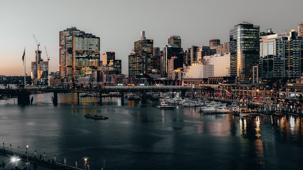 boats moored in city dock