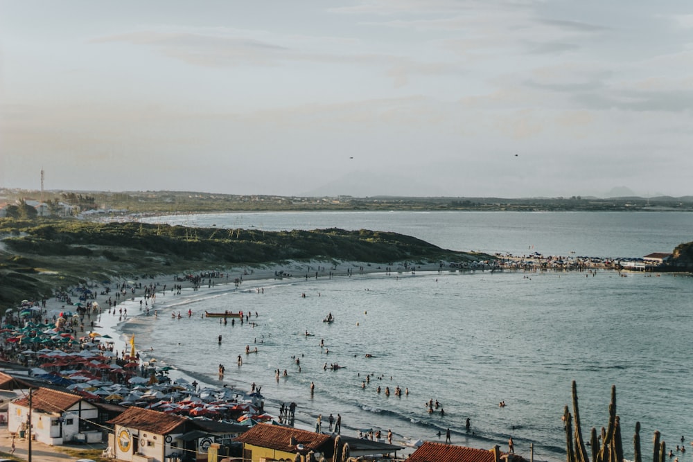 people on beach